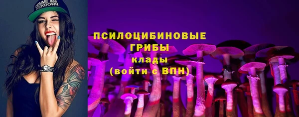 тгк Переславль-Залесский
