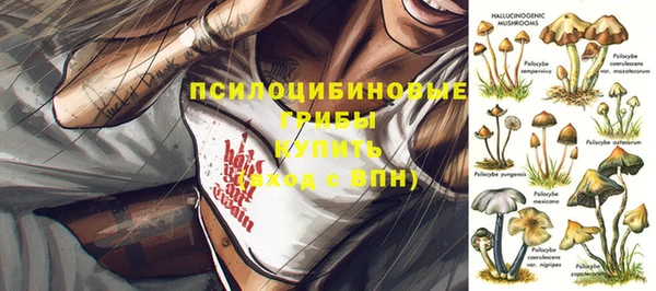 тгк Переславль-Залесский