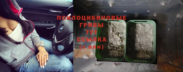 тгк Переславль-Залесский