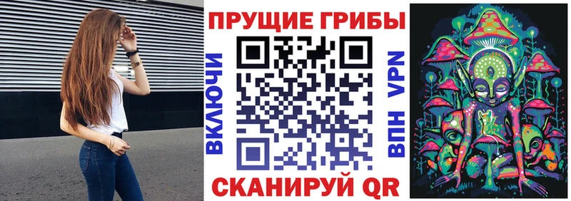 Купить закладки  Ленинск  Галлюциногенные грибы Magic Shrooms 